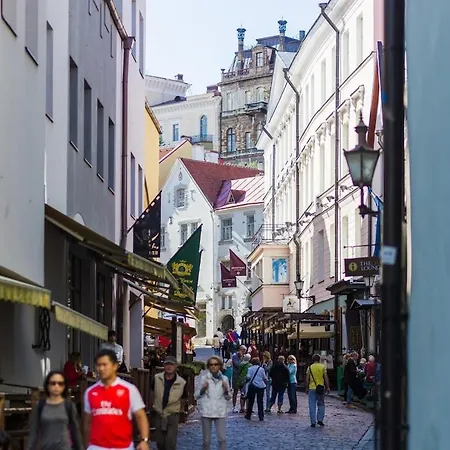 Toompea Castle 2-storey Unique * タリン
