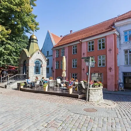 Apartamento Toompea Castle 2-storey Unique Tallin
