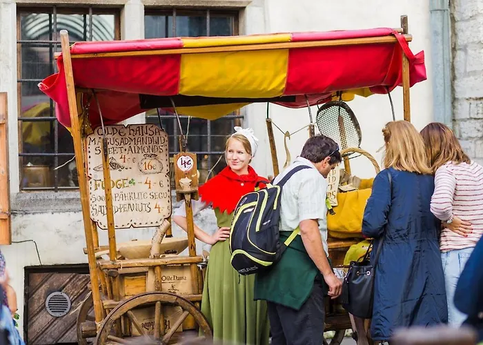 Toompea Castle 2-storey Unique アパート タリン