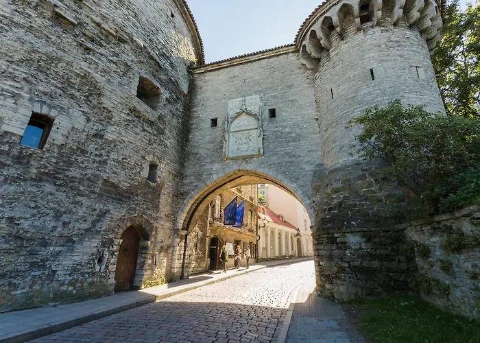 Toompea Castle 2-storey Unique アパート *